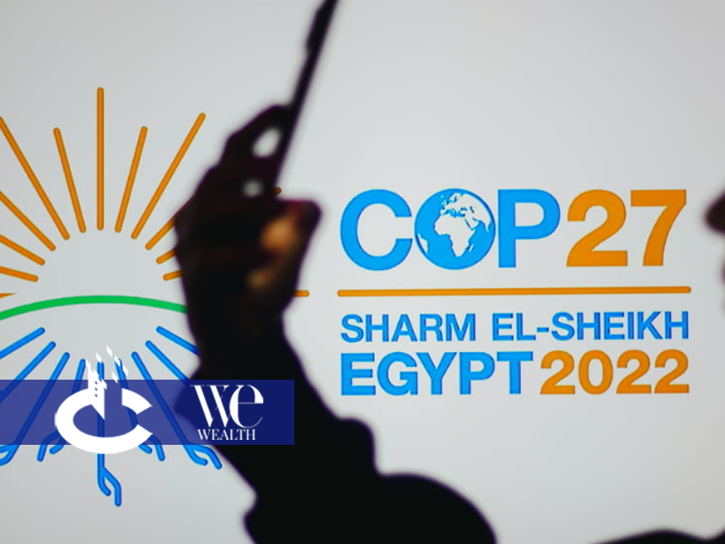 We Wealth | Decarbonizzazione: le scelte di portafoglio dopo Cop 27