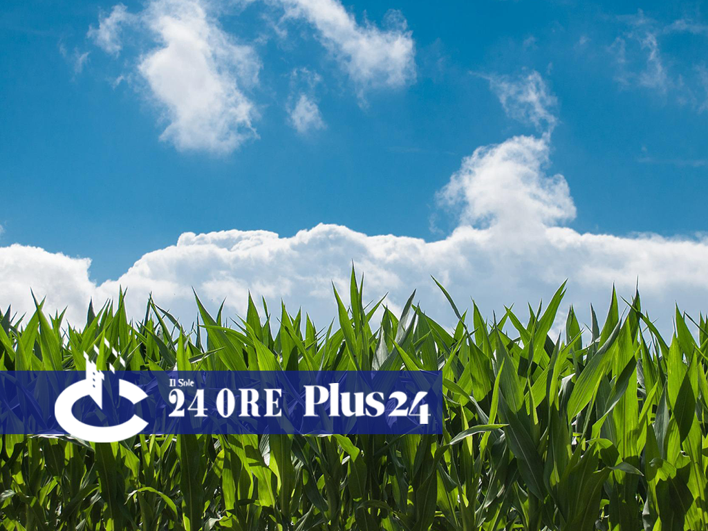 Mondoinvestor | Esporsi alle materie prime agricole per contrastare la crescita dell’inflazione